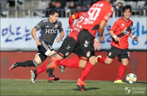 周日韩职联最新比赛视频,周日精彩瞬间回顾，谁将问鼎冠军？”