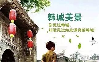 今日韩城的风雨情景视频,坚守与希望