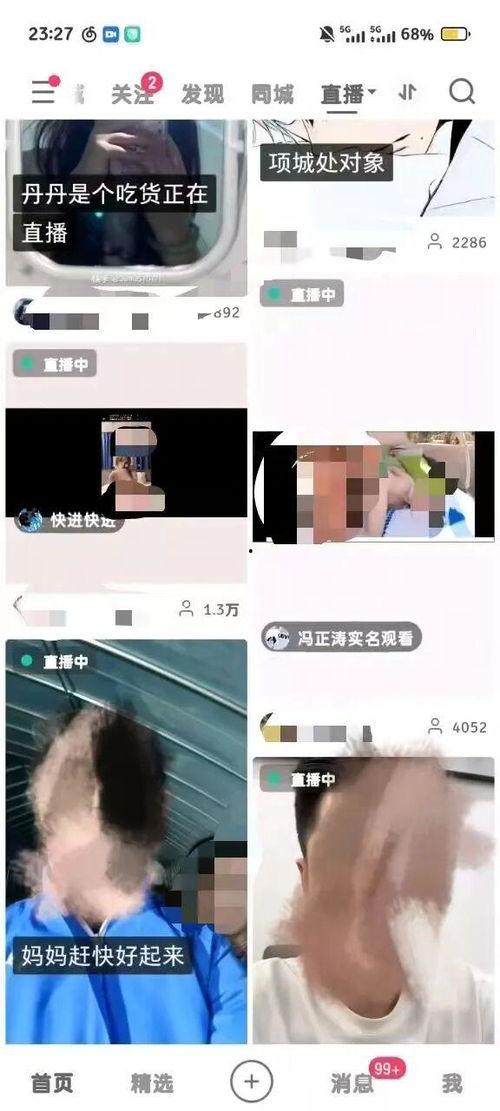 成人在线免费小视频,娱乐与风险并存的世界