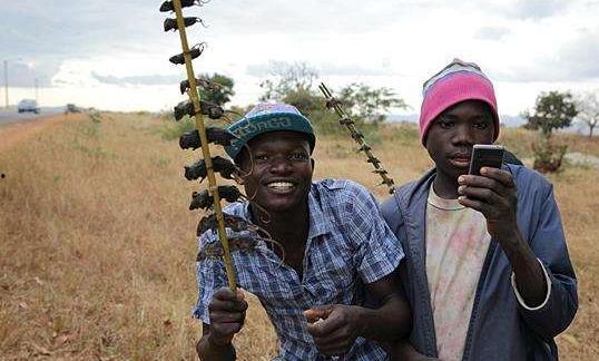 非洲网红吃瓜视频