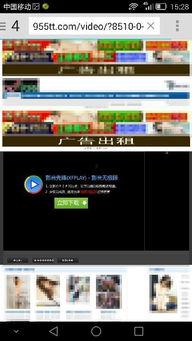 日韩情欲在线视频播放器,私密内容背后的秘密世界